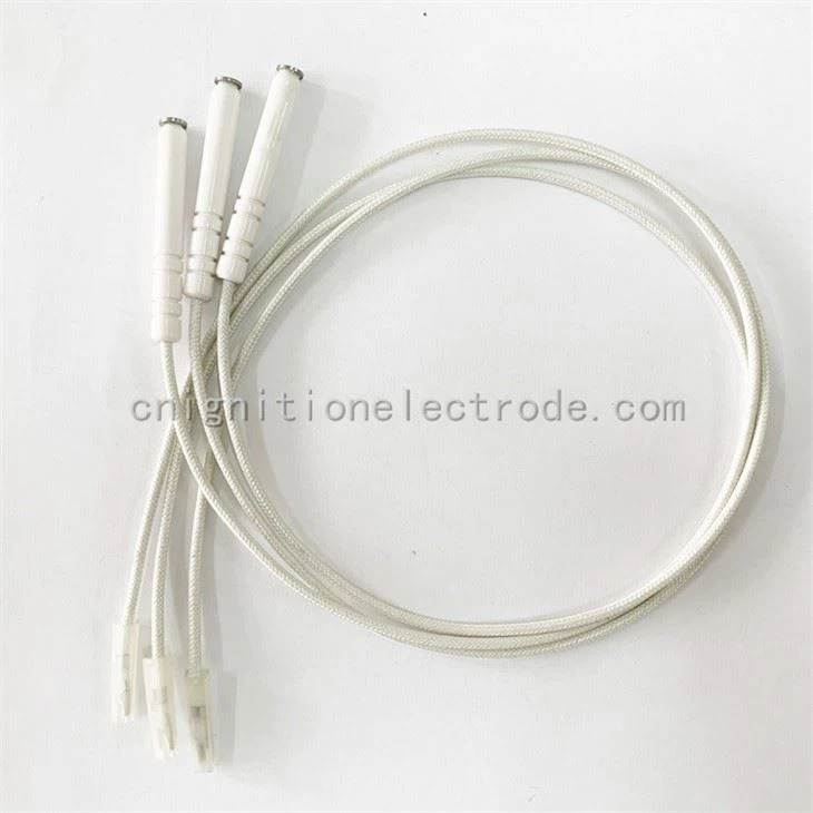 BBQ Spark Plug