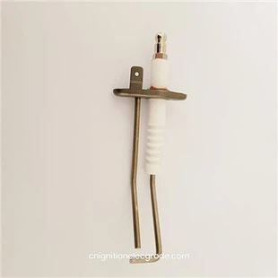 Boiler Spark Plug Electrode